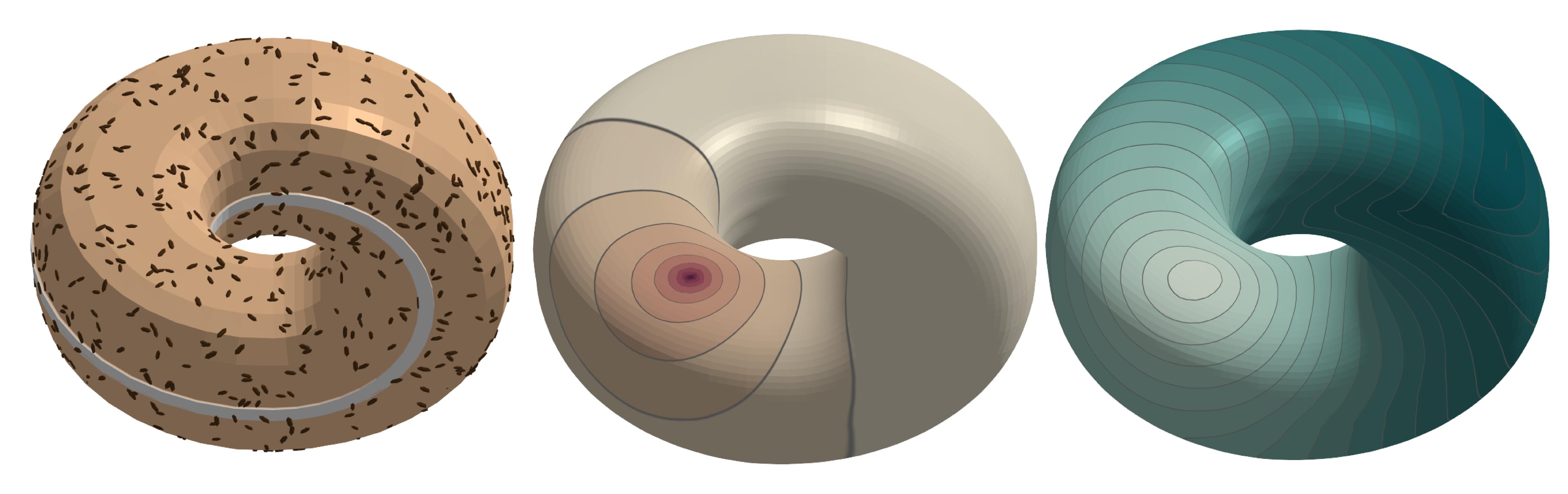 The Impossibagel
